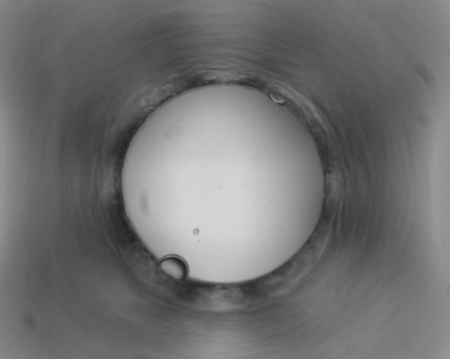 X0000114000517200910161712