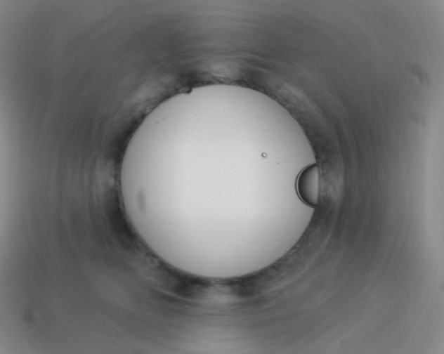 X0000114000518200910161712