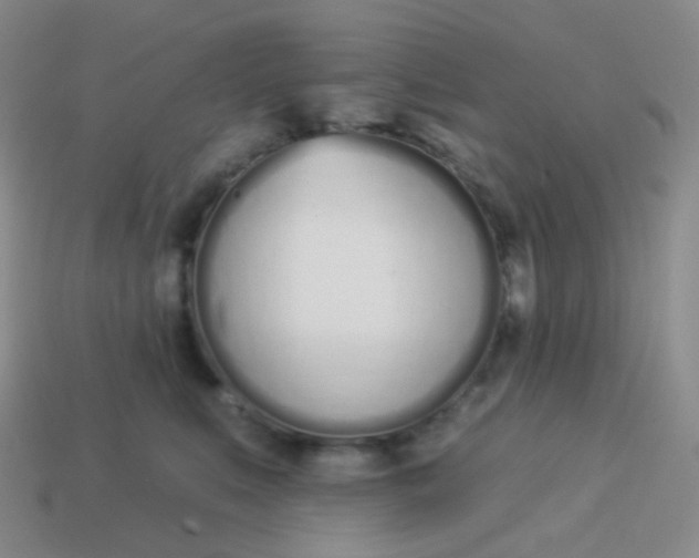X0000114000519200910161712