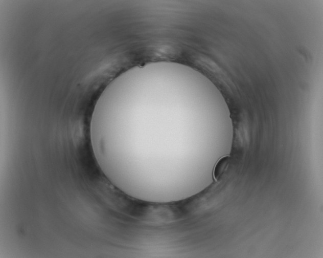 X0000114000520200910161712