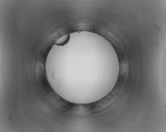X0000114000522200910161712
