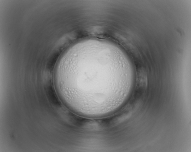 X0000114000523200910161712