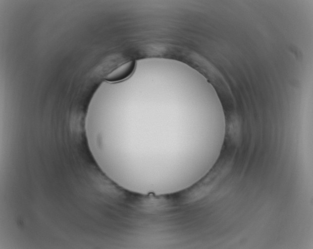 X0000114000525200910161712