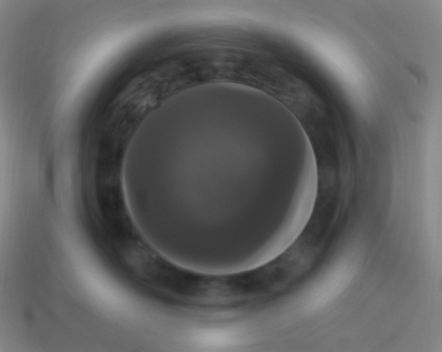 X0000114000526200910161712