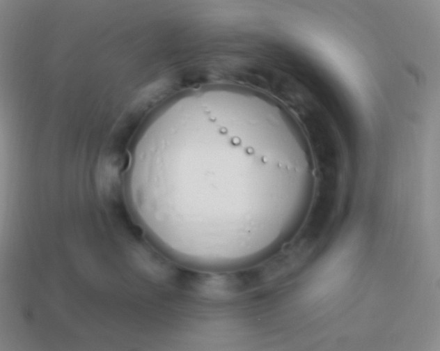 X0000114000527200910161712