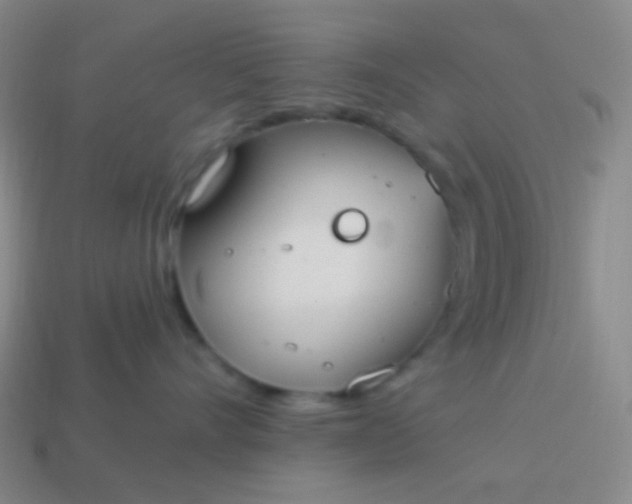 X0000114000528200910161712