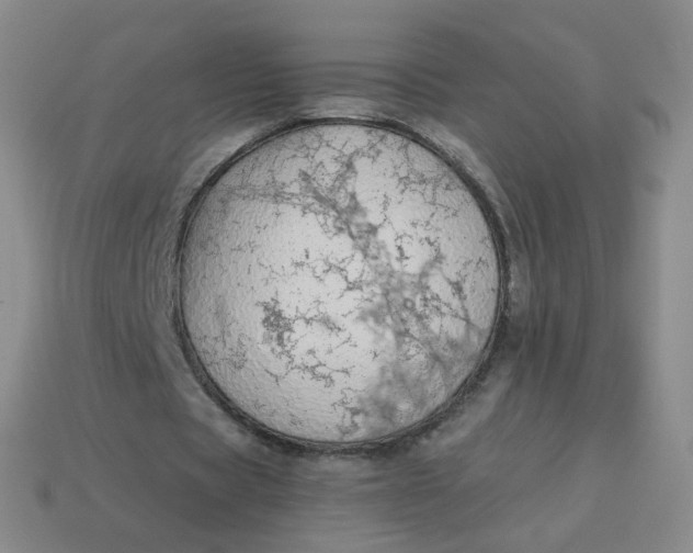 X0000114000529200910161711