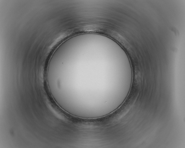 X0000114000530200910161711