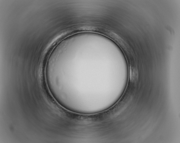 X0000114000531200910161711