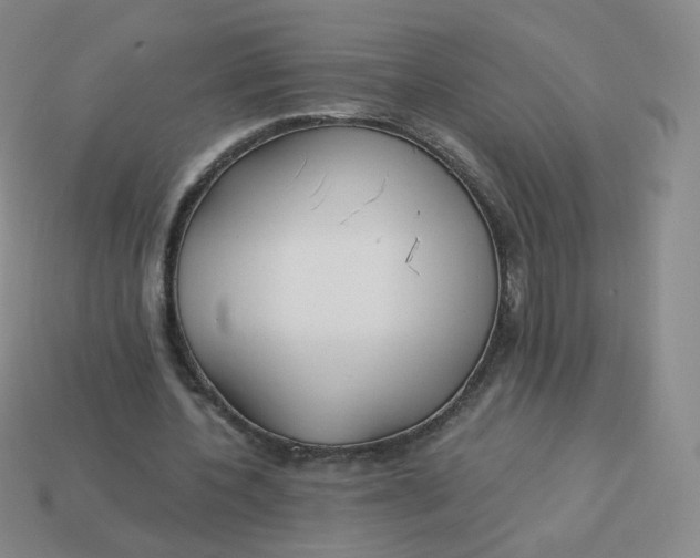 X0000114000532200910161711