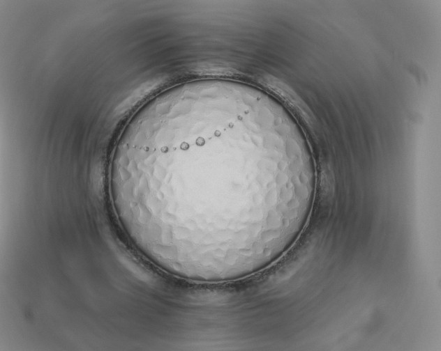 X0000114000533200910161711