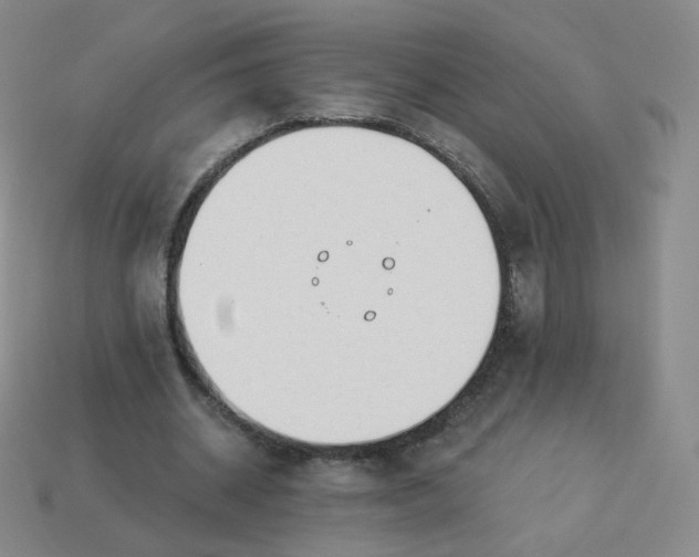 X0000114000534200910161711