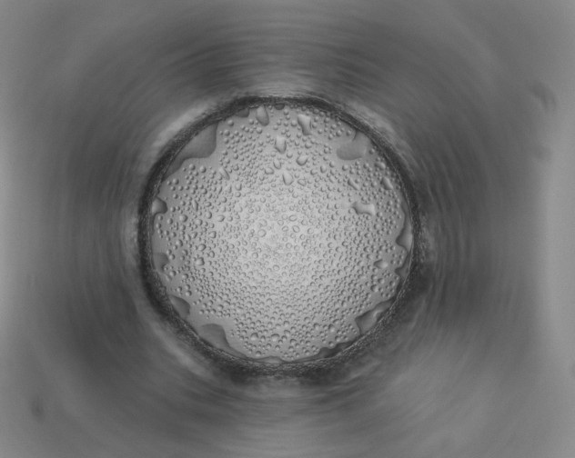 X0000114000535200910161711
