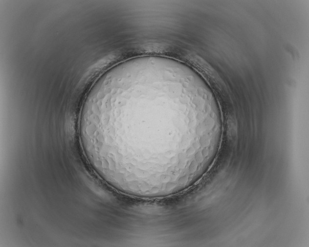 X0000114000537200910161711