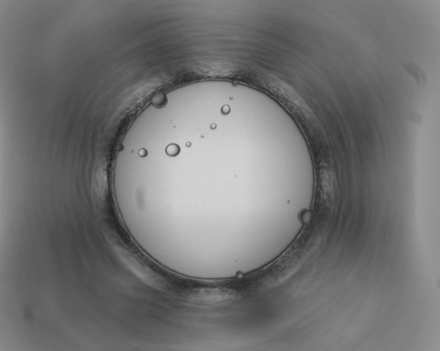X0000114000541200910161711