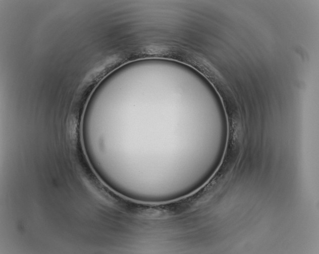 X0000114000542200910161711