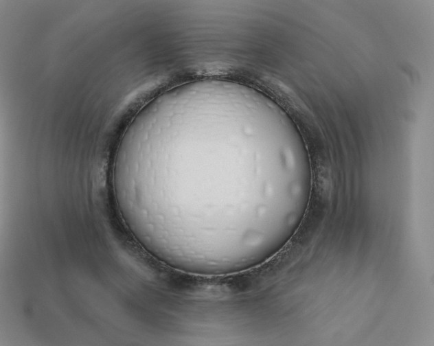 X0000114000543200910161711