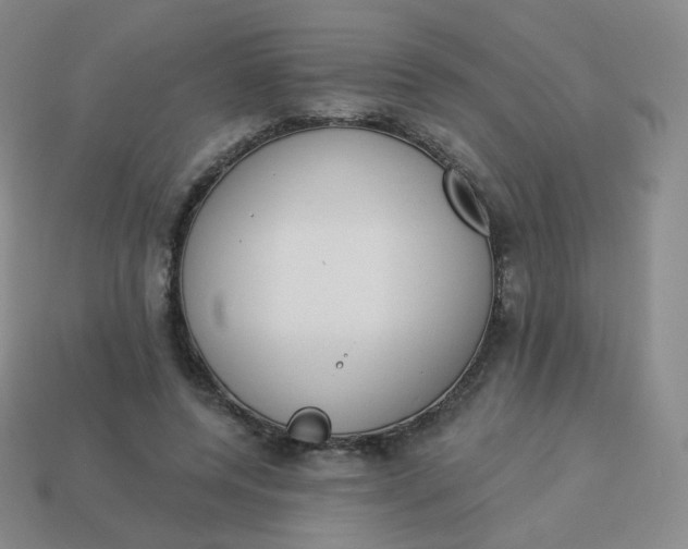 X0000114000544200910161711