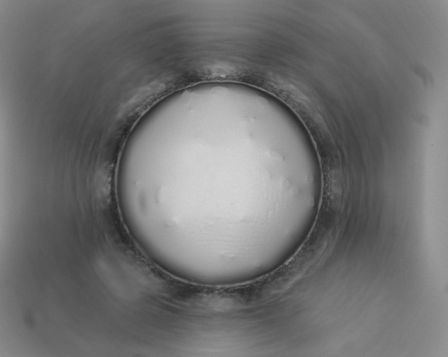 X0000114000545200910161711