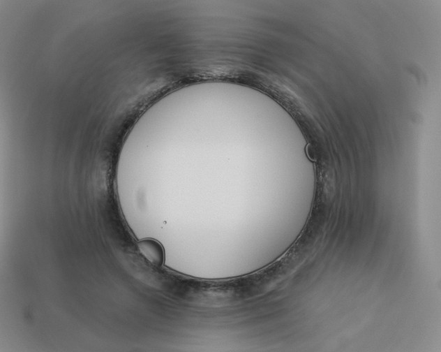 X0000114000546200910161711