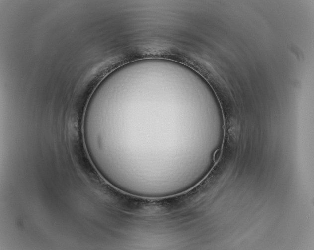 X0000114000547200910161711