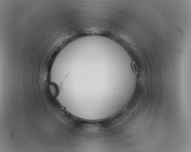 X0000114000548200910161711
