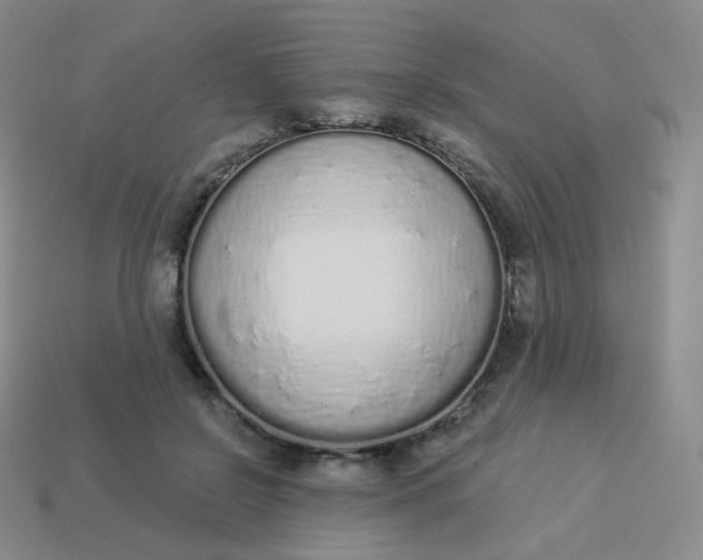 X0000114000550200910161711