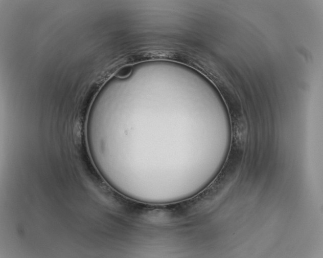X0000114000551200910161711