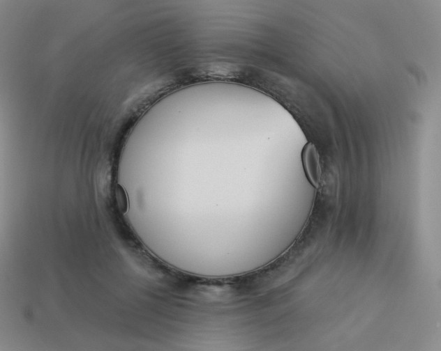 X0000114000552200910161711