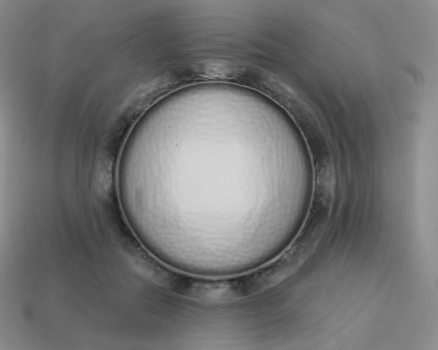 X0000114000554200910161712