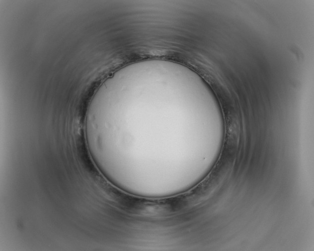 X0000114000555200910161712