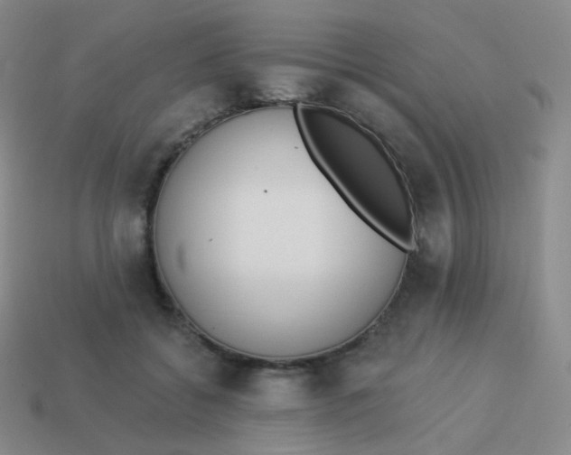 X0000114000556200910161712