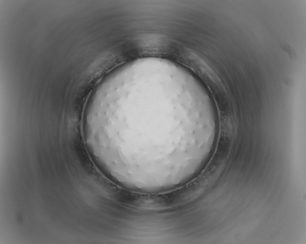X0000114000557200910161712