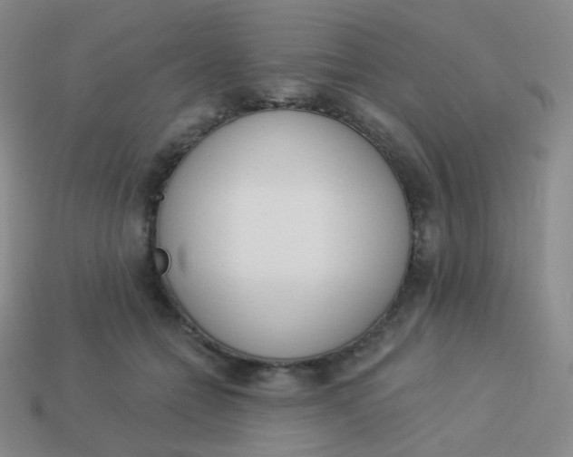 X0000114000558200910161712