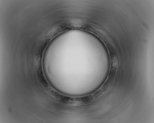 X0000114000559200910161712