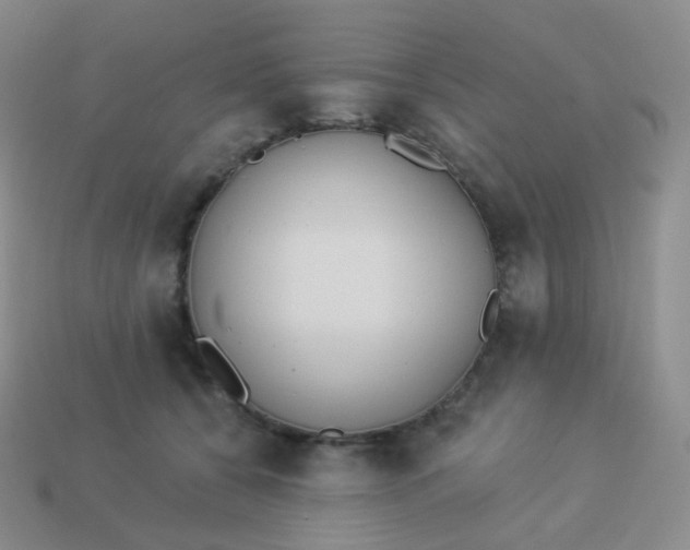 X0000114000560200910161712