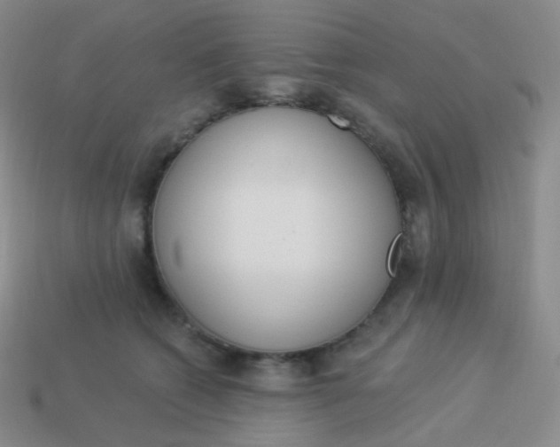 X0000114000562200910161712