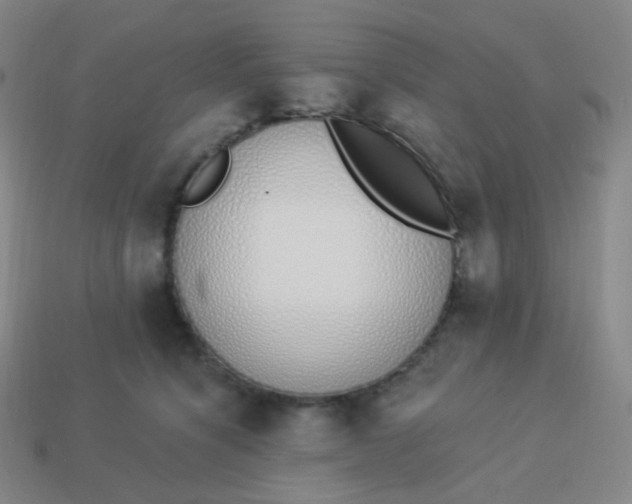 X0000114000564200910161712