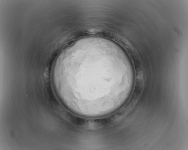 X0000114000565200910161712
