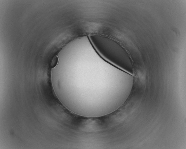 X0000114000566200910161712