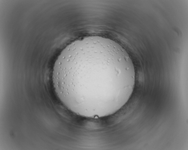 X0000114000567200910161712