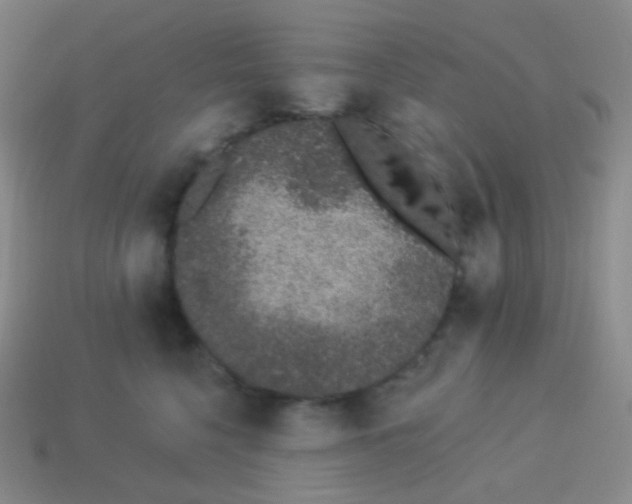 X0000114000568200910161712