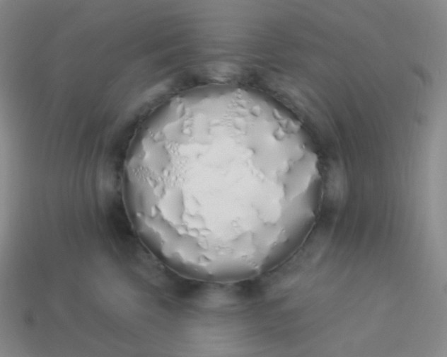X0000114000569200910161712