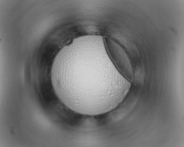 X0000114000572200910161712