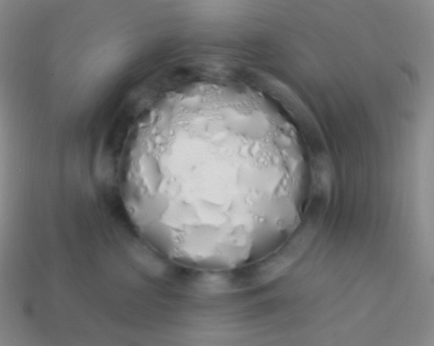 X0000114000573200910161712
