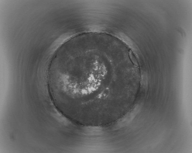 X0000114000577200910161711