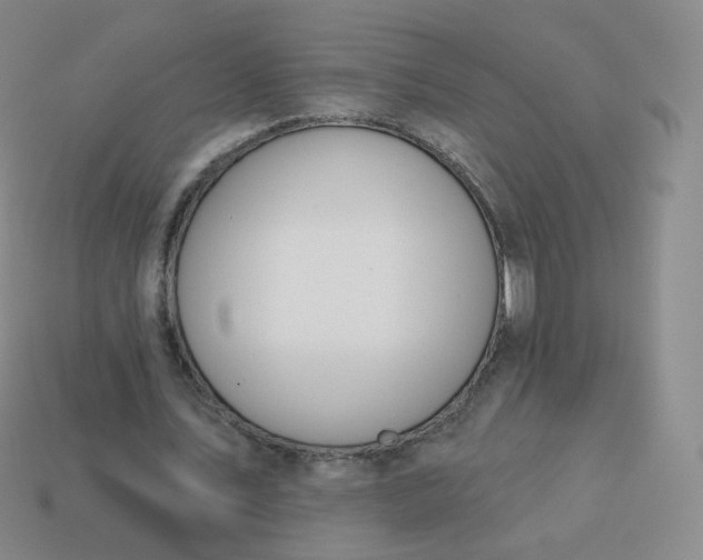 X0000114000579200910161711