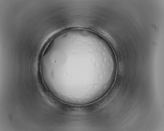 X0000114000580200910161711