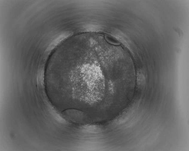 X0000114000581200910161711