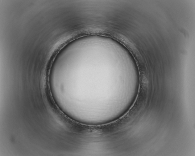 X0000114000582200910161711